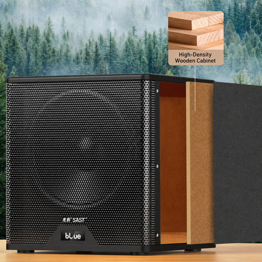 SAST A19 Home Theater Bluetooth Speaker 8-inch Super Subwoofer 2pcs Tweeter 2pcs 4 inch Mid Range Speakers + USB Drive Gifted