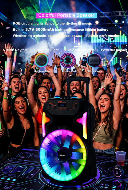 13inch bass +Tweeter portable speaker 3600mAh 20W outdoor audio with wireless speakers