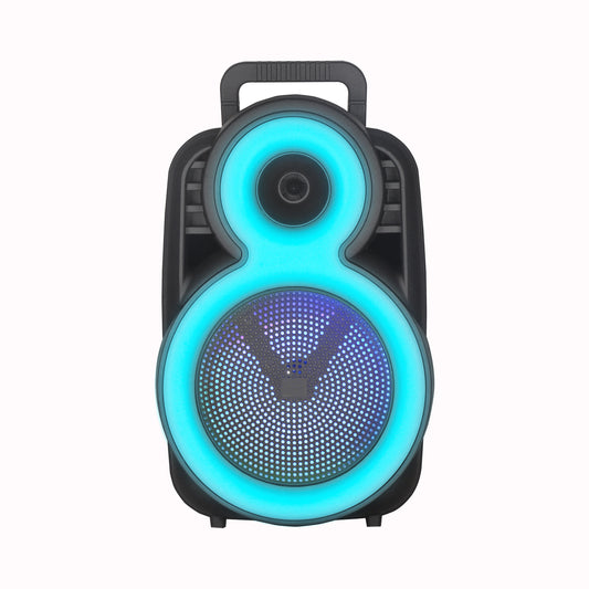 8″ Bass 3600mAh Ourdoor Party Speaker Bluetooth Long battery Life