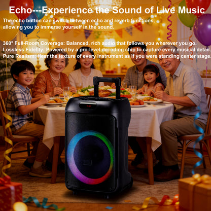 12“ bass+Tweeter 4000mAh Long Battery Life Outdoor Portable Speeker 20W 3.7V