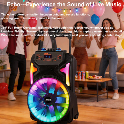 13inch bass +Tweeter portable speaker 3600mAh 20W outdoor audio with wireless speakers