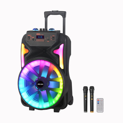 13inch bass +Tweeter portable speaker 3600mAh 20W outdoor audio with wireless speakers