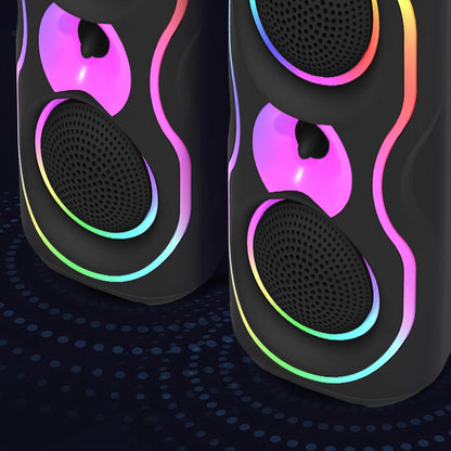 Portable PA Speaker System with 2pcs 4-inch Subwoofers,RGB Lights
