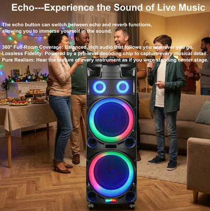 9000mAh 80W 10inch subwoofer*2+Tweeter portable speaker large size
