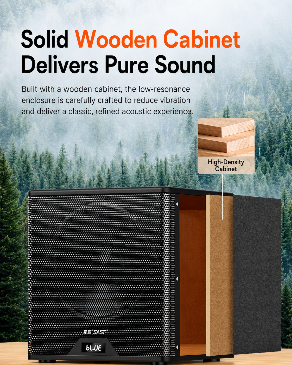 SAST A19 Home Theater Bluetooth Speaker 8-inch Super Subwoofer 2pcs Tweeter 2pcs 4 inch Mid Range Speakers + USB Drive Gifted