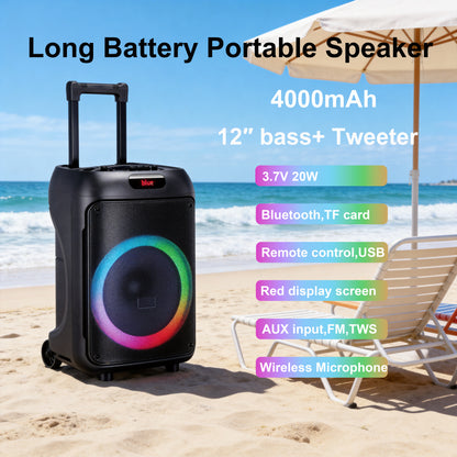 12“ bass+Tweeter 4000mAh Long Battery Life Outdoor Portable Speeker 20W 3.7V