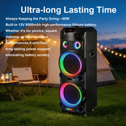 9000mAh 80W 10inch subwoofer*2+Tweeter portable speaker large size
