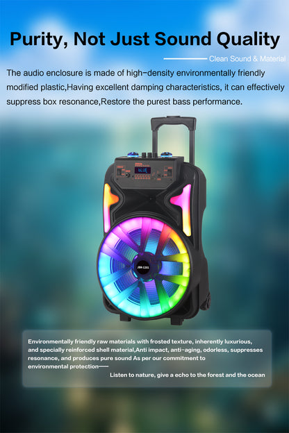 13inch bass +Tweeter portable speaker 3600mAh 20W outdoor audio with wireless speakers