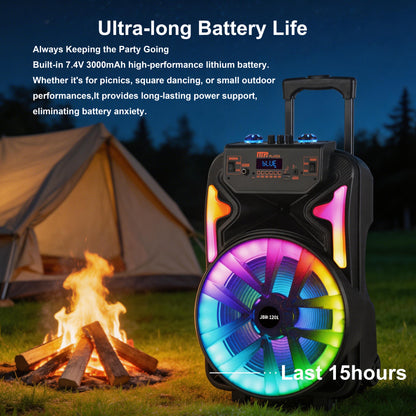 13inch bass +Tweeter portable speaker 3600mAh 20W outdoor audio with wireless speakers