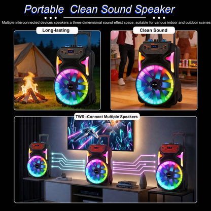 13inch bass +Tweeter portable speaker 3600mAh 20W outdoor audio with wireless speakers