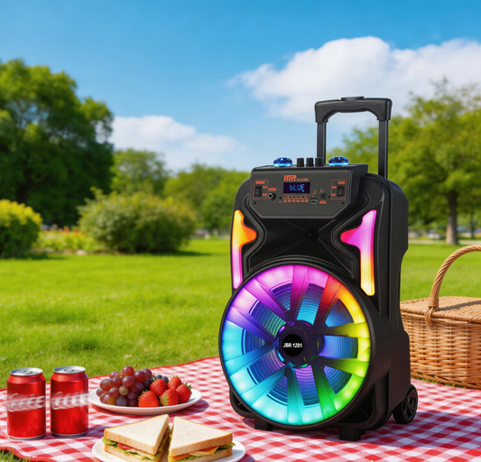 13inch bass +Tweeter portable speaker 3600mAh 20W outdoor audio with wireless speakers